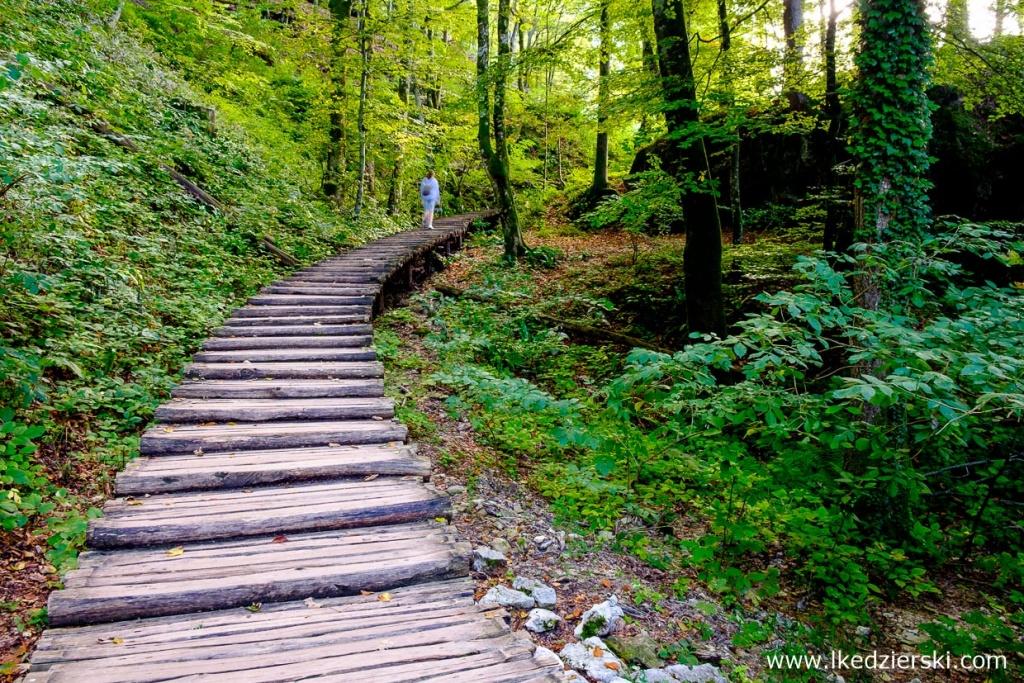 Jeziora Plitwickie Magiczna Kraina Jezior Fotogaleria