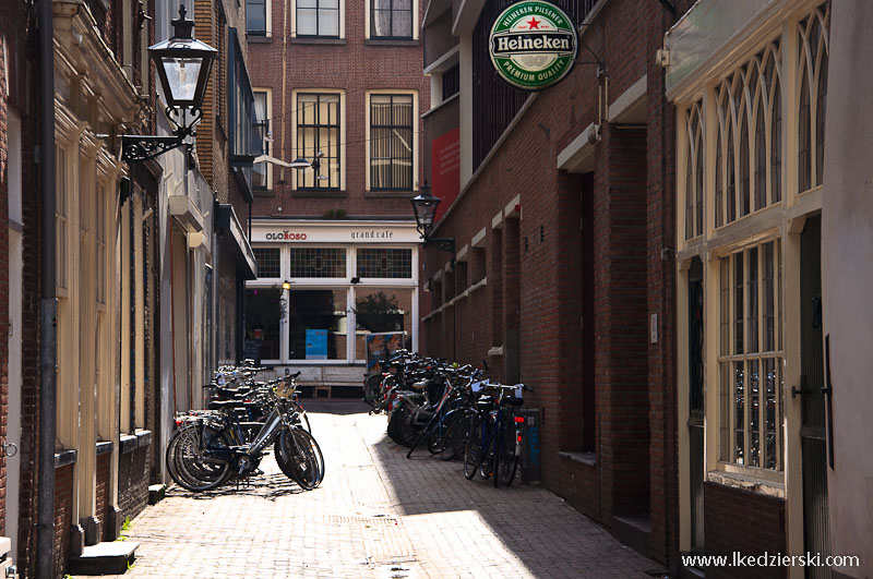 holenderskie miasta leiden