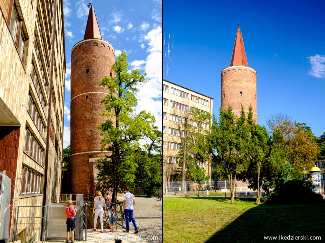 Opole Na Weekend Z Dzieckiem - Co Warto Zobaczyć W Opolu