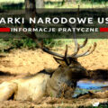 parki narodowe usa