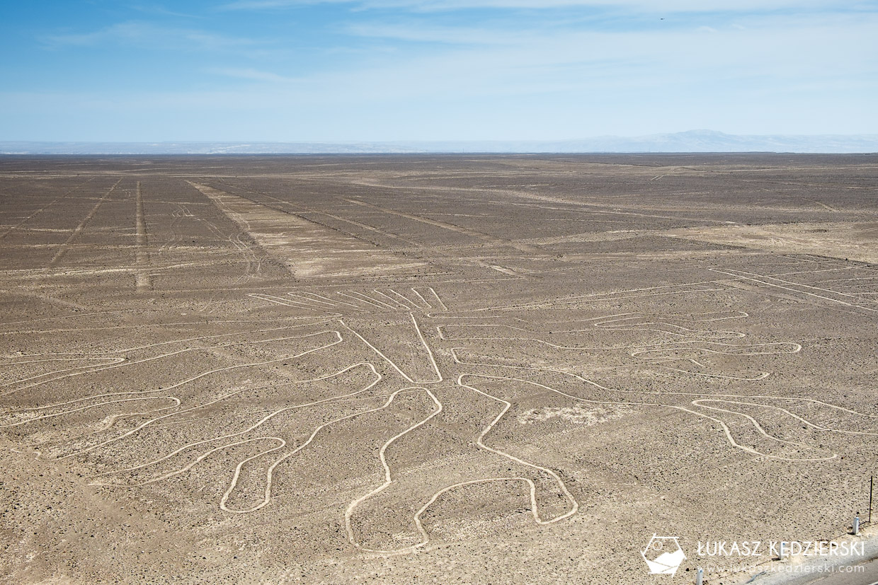 nazca rysunki z nazca linie z nazca geoglify wieża widokowa